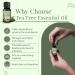 Satthwa Tea Tree Essential Oil (15ml) - Buy Online on GoSupps.com