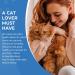 Cat Hyperthyroid & Weight Gain Support Supplement - All-n-One Feline Thyroid Pills for Metabolic & Weight Management - Natural 450 ct - Buy Online on GoSupps.com