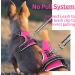 Shop Heele Dog Crockery & No-Pull Harness | Breathable Reflective Dog Gear for Medium Dogs - XL Uni-Rose - Buy Online on GoSupps.com