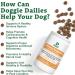 Doggie Dailies Omega 3 for Dogs - 225 Soft Chews - Salmon Oil for Dogs with Apple Cider Vinegar Bee Pollen Kelp Zinc & Biotin New Packaging - Buy Online on GoSupps.com