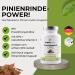 500mg Pine Bark Extract Capsules with OPC & Natural Vitamin C | Vegan High-Dose Lab Tested - 240 Pieces | Alpha Vitalis - Buy Online on GoSupps.com