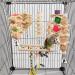 Onebarleycorn Budgie & Parrot Toy Set - 7 Wooden Bird Toys Swings & Canaries for Happy Pet Playtime - Buy Online on GoSupps.com
