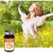 NUTRIEXPERT - Royal Jelly Pollen VitaminC - Supports Natural Defenses - Promotes Vitality Reduces Fatigue - Contributes to the Immune System - 60 Vegetable Capsules - Buy Online on GoSupps.com