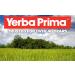 Yerba Prima Fiber Plus Senna Capsules 180 Count (3 Pack) - Gentle Overnight Relief USA Made Non-GMO Gluten-Free - Buy Online on GoSupps.com