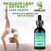 Undelio's Herbal Mullein Leaf Extract - Organic Alcohol-Free Tincture for Respiratory Lung Sleep Digestive Support - Non-GMO Vegan 2 fl. Oz Immune Health Lung Detox - Buy Online on GoSupps.com