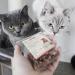 Carnello Cat Treats - Spaghetti Snacks & Delicacies for Cats | Healthy Cat Treats (30g) - International Shipping - Buy Online on GoSupps.com
