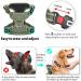 Heele Adjustable Dog Harness - Reflective Lockable Snap Anti-Train Green | Best for Running & Comfort (L: 43-86cm) - Buy Online on GoSupps.com