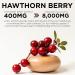 Earth BOTANIC Organic Hawthorn Berry Extract 20:1 8000 mg Equivalent per Capsule Hawthorn Berry Capsules 120 Vegetarian Capsules Hawthorn Extract Supplement Non-GMO Vegan - Buy Online on GoSupps.com