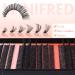 Buy Winifred Individual Cluster Eyelash Extensions - 40D 50D 60D Natural Lash Clusters | Wispy DIY 360pcs (8-18mm) - International Shipping Available - Buy Online on GoSupps.com