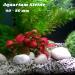 VELLES Pebbles for Painting Large Garden Stones White Natural Rock for Paint Rocks Marble Gravel to Decorative Stone Aquarium Decor Polished Pebble Art Scottish Cobbles for Pond - 1.9kg (40-80mm) 40-80 mm (WeiÃ) - Buy Online on GoSupps.com