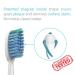 TAO Clean Daily Care Whitening Replacement Heads - 2 Pack | International Shipping Available - Buy Online on GoSupps.com
