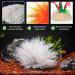 Buy TAOMYPETS White Plastic Aquarium Plants & Coral Reef Ornaments for Vibrant Aquascaping - Ideal for International Shipping - Buy Online on GoSupps.com