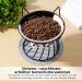 Dorakitten 2Pcs Elevated Cat Bowls with Non-Slip Mat - Anti-Vomiting Raised Cat Food Plates for Spine Protection - Cute Cat Ear Stand Ceramic Dishes for Whisker Fatigue Prevention - Buy Online on GoSupps.com