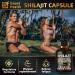 Sound Health Bloom Shilajit Capsules 60 Count | 8 in 1 Formulation | 25:1 Concentrated Extract (10 000mg Equivalent) | Organic and veagn | Nutritional Supplement | Sealed Bottle Packge - Buy Online on GoSupps.com