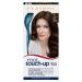 Clairol Root Touch-Up Permanent Hair Dye 4A Dark Ash Brown 4A Dark Ash Brown 1 count (Pack of 1) Single