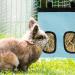 Rabbit Hay Feeder Bag Guinea Pig Hay Feeder Storage Racks 600d Oxford Cloth Fabric Hanging Feeding Hay for Hamsters Bunny Small Animals (Blue) - Buy Online on GoSupps.com