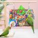 KATUMO Small Bird Toys - Edible Seagrass Foraging Mat & Chew Toy for Parakeet, Conure, Cockatiel, Lovebird - Hanging Hammock for Climbing - Natural Bird Entertainment - Buy Online on GoSupps.com