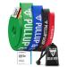Pullup & DIP fitness straps Resistance tapes with bag door anchor (at sets) and exercise guide - individually & in the inexpensive set pull -up band fitness band for calisthenics medium (blue)