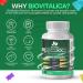 BIO VITALICA Lions Mane Mushroom Gummies - Adult Blend with 10 Mushrooms Complex for Immune Support - Mushroom Supplement (1) - Buy Online on GoSupps.com