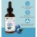Pure Inventions Blueberry & White Tea Infusion Drops - 60 Servings, 2oz - No Sugar or Artificial Sweeteners - Buy Online on GoSupps.com
