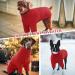 Iecoii Dog Sweater | Warm Turtleneck Sweaters for Small Medium & Large Dogs | Winter Clothing for Chihuahua French Bulldog & Labrador - Red - Buy Online on GoSupps.com