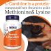Now Foods Acetyl-L-Carnitine 500mg Vegan Capsules - Lab-Tested Amino Acid, Gluten & SOYA Free - Buy Online on GoSupps.com