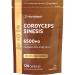 Cordyceps Capsules 6500mg 120 Vegan Capsules with High Strength Cordyceps Sinensis Mushroom Extract from Horbaach
