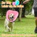 Roll Ruff Dog Leak Protection Collar - Adjustable Soft & Breathable Pink Neck Band for Pets - Buy Online on GoSupps.com