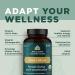 Organic Lion's Mane Mushroom Supplement with Ashwagandha by Ancient Nutrition  Organic Lion's Mane Supports Healthy Energy and Concentration  Reduces Fatigue  Gluten Free and Keto Friendly  30 Tablets Lion's Mane Tablet (3 - Buy Online on GoSupps.com