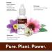 Earache Drops for Ear Infection Prevention & Pain Relief | Swimmer's Ear Solution for Adults & Children | Made in USA by Marie Originals (0.5 Fl Oz) - Buy Online on GoSupps.com
