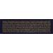 Estee Lauder Pure Color Envy Sculpting Lipstick 360 Fierce 0.12 Ounce - Long-Lasting Lip Color for a Bold Look - Buy Online on GoSupps.com