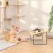 Elevated Cat Bowls with Stand: Tiltable Raised Feeding Station for Cats with 2 Stainless Steel Bowls Black - Buy Online on GoSupps.com
