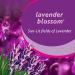 Buy Purex Crystals Lavender Blossom In-Wash Fragrance Booster - 18 Ounce | International Shipping Available - Buy Online on GoSupps.com