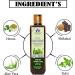 Blessfull Healing Organic Natural Hair Cleanser | Shampoo 200 ML (Packing May Vary) - Buy Online on GoSupps.com