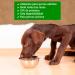 Yerbero Nature Adult Premium Food for Dogs 10 kg - Buy Online on GoSupps.com