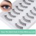 Half Lashes Cateye Wispy - 10mm Hand-Knotted Clean Band False Eyelashes | 10 Pairs Natural Look - Buy Online on GoSupps.com