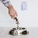 RBD Health Dog Feeding Reminder - Magnetic or Adhesive Application, Weekdays AM/PM Indicators - Buy Online on GoSupps.com