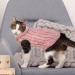 Shop Cozy Pink Dog Sweater | Winter Turtleneck Knitting Sweaters for Small & Medium Dogs & Cats - International Shipping Available - Buy Online on GoSupps.com