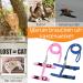 Adjustable Nylon Cat Leash Set - 2 Pieces Pink & Blue Harness for Kittens & Puppies | Soft Cat Dishes Included - Buy Online on GoSupps.com