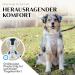 Freudenier Dog Harness - Breathable & Durable Anti-Drawing Design for All Dog Sizes - Comfortable & Secure Seat - Buy Online on GoSupps.com