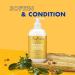 Buy Shea Moisture Grapeseed & Tea Tree Oils Conditioner - Low Porosity Weightless Hydrating with Sunflower Oil - International Shipping Available - Buy Online on GoSupps.com