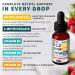 (2-Pack) Methylated B Complex Liquid Drops with Active L-Methylfolate - B12 Sublingual Drops, Vitamin B Complex - Vegan B 12 Vitamin 5000mcg, Non-GMO, Raspberry Flavor, No Sugar, 2 Fl oz, 80 Servings - Buy Online on GoSupps.com