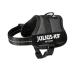 K9 Powerharness Size: 2XS/Baby 2 Anthracite 2XS/Baby 2 Anthracite