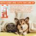 Dog Toothbrush & Toothpaste Set - Tartar Control & Dental Care for Dogs | Beef Flavor | Protect Your Dog's Teeth - Buy Online on GoSupps.com