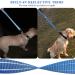 Vivaglory Short Dog Leash - 61 cm Traffic Leash for Medium & Large Dogs - Blue Training Line - Buy Online on GoSupps.com