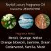 Cerod Skyfall Fragrance Oil - Luxury Hotel Inspired Aromatherapy for Cold Air Diffusers - Orange Blossom Green Melon Jasmine & Fresh Ocean - 120mL - International Shipping Available - Buy Online on GoSupps.com