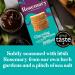 Belle & Wilde Rosemary Artisan Toasts | Handcrafted With No Preservatives Suitable For Vegetarians & 100% Gluten Free | Perfect With Cheese Dips & P t s - Buy Online on GoSupps.com