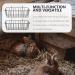 PATKAW Hay Feeder Rabbit 2pcs Hay Holder for Rabbits Rabbit Hay Feeder Racks Hanging Hay Racks Bunny Hay Feeder - Buy Online on GoSupps.com