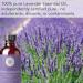 French Lavender Essential Oil Blend - 4 fl oz for Aromatherapy, Soap Making, DIY Skin & Hair - Pure Body Naturals - Buy Online on GoSupps.com