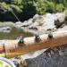 YZD Premium Realistic Trout Flies Collection - Dry Fly Assortment for Fly Fishing | A12 Lures Kit - Buy Online on GoSupps.com